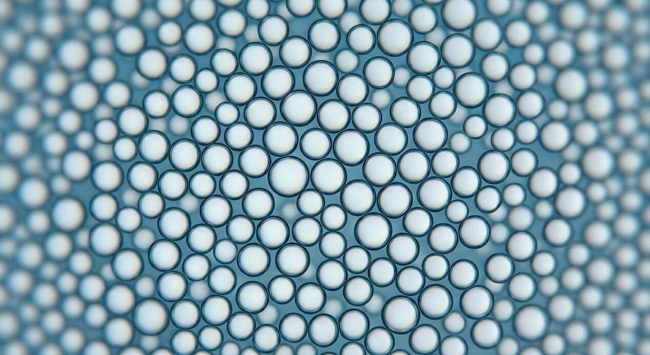 A macro photograph showing uniform, spherical droplets of a stabilized flavor oil-in-water micro-emulsion under a laboratory microscope.