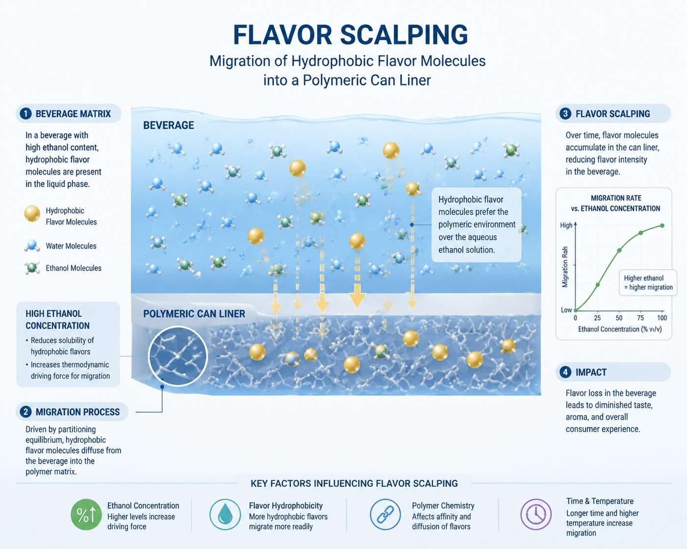 Un esquema técnico claro que ilustra el proceso de extracción de sabor y muestra moléculas de sabor hidrofóbicas que migran hacia un revestimiento polimérico de latas influenciadas por la concentración de etanol y la dinámica de difusión.
